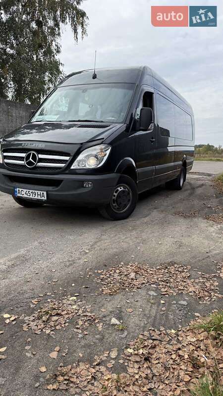 Микроавтобус Mercedes-Benz Sprinter 2010 в Березному