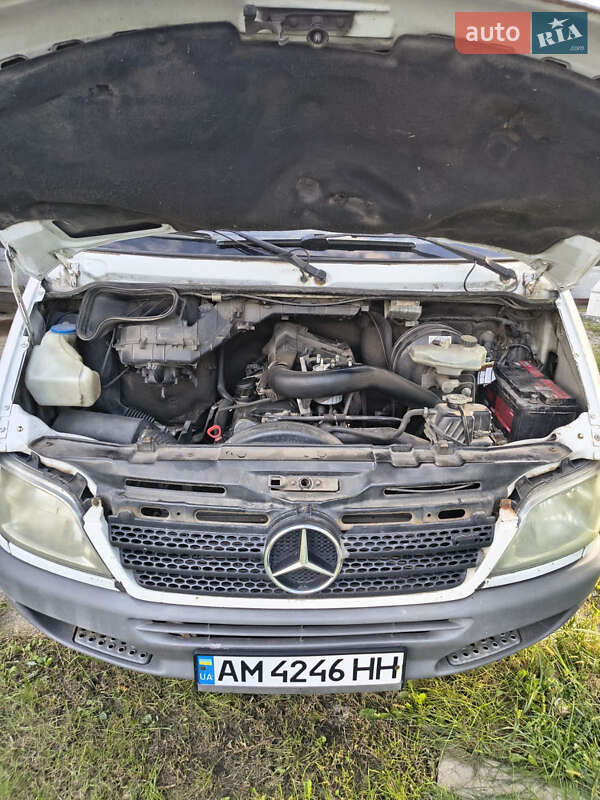 Мікроавтобус Mercedes-Benz Sprinter 2004 в Києві