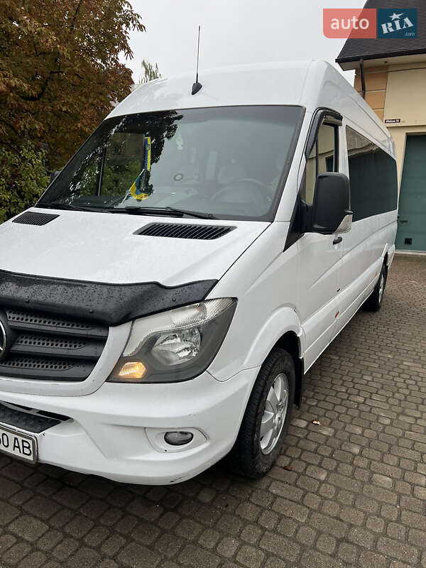 Микроавтобус Mercedes-Benz Sprinter 2016 в Долине