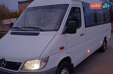 Другие автобусы Mercedes-Benz Sprinter 2005 в 