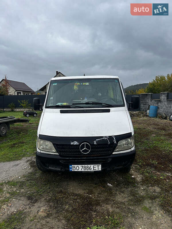 Інші вантажівки Mercedes-Benz Sprinter 2002 в Кременці