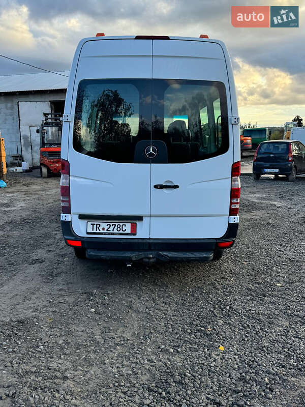 Грузопассажирский фургон Mercedes-Benz Sprinter 2010 в Недобоевцах фото 30 Грузопассажирский фургон Mercedes-Benz Sprinter 2010 в Недобоевцах