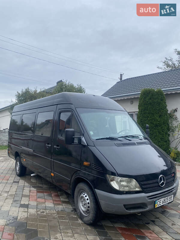Грузопассажирский фургон Mercedes-Benz Sprinter 2006 в 
