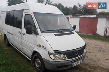 Микроавтобус Mercedes-Benz Sprinter 2006 в 