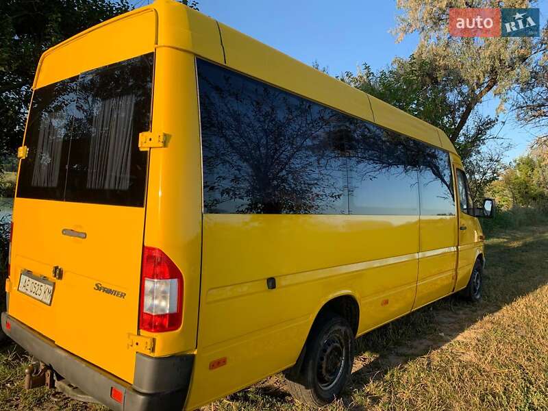 Микроавтобус Mercedes-Benz Sprinter 2004 в Днепре