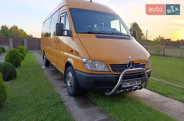 Микроавтобус Mercedes-Benz Sprinter 2005 в Стрые