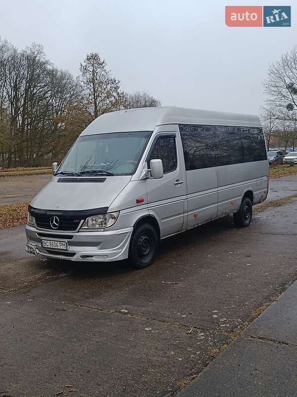 Микроавтобус Mercedes-Benz Sprinter 2003 в Бирках фото 11 Микроавтобус Mercedes-Benz Sprinter 2003 в Бирках
