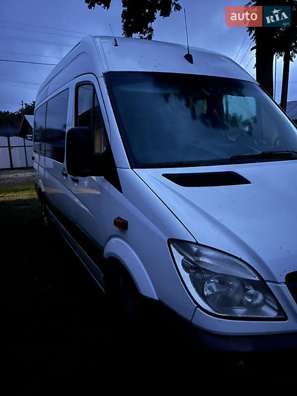 Микроавтобус Mercedes-Benz Sprinter 2012 в Городенке