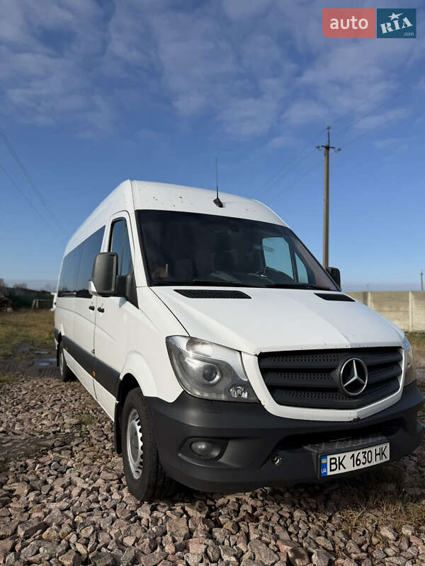 Микроавтобус Mercedes-Benz Sprinter 2017 в Березному