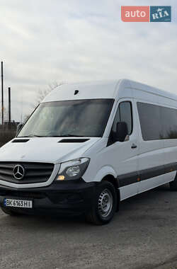 Микроавтобус Mercedes-Benz Sprinter 2017 в Березному