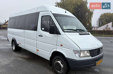 Мікроавтобус Mercedes-Benz Sprinter 1999 в Полонному