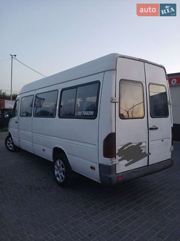 Другие автобусы Mercedes-Benz Sprinter 1999 в Николаеве