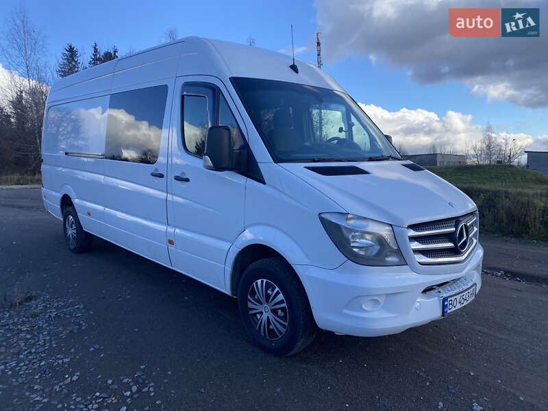 Мікроавтобус Mercedes-Benz Sprinter 2014 в Кременці
