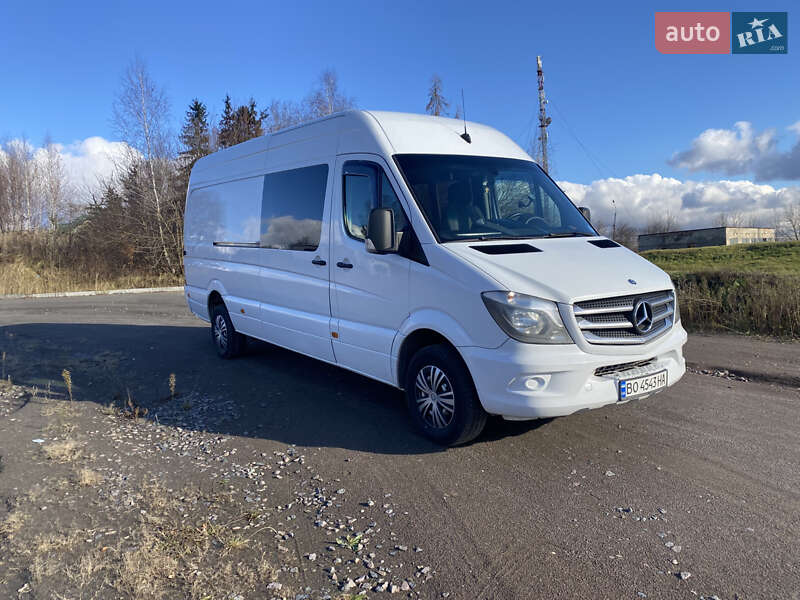 Мікроавтобус Mercedes-Benz Sprinter 2014 в Кременці