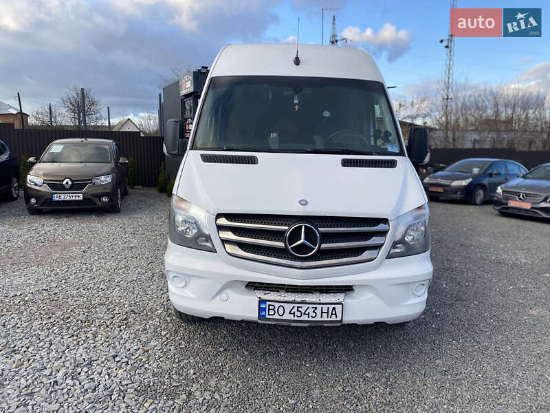 Мікроавтобус Mercedes-Benz Sprinter 2014 в Кременці