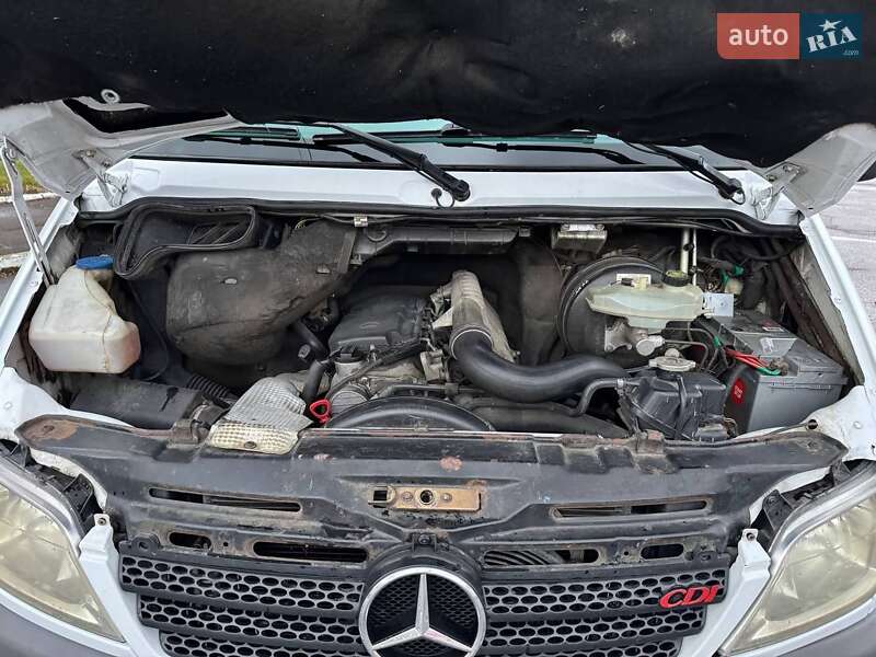 Мінівен Mercedes-Benz Sprinter 2005 в Долині
