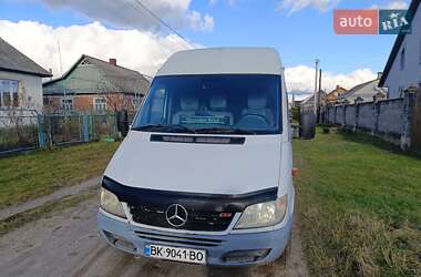 Грузовой фургон Mercedes-Benz Sprinter 2005 в Березному