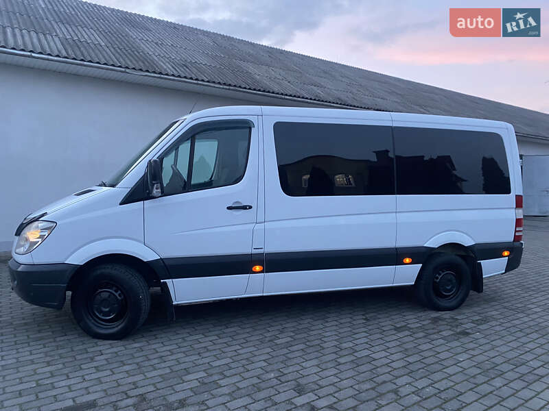 Минивэн Mercedes-Benz Sprinter 2013 в Черновцах