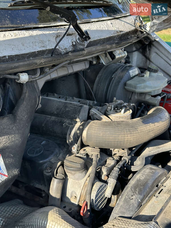 Грузопассажирский фургон Mercedes-Benz Sprinter 2003 в Виннице фото 57 Грузопассажирский фургон Mercedes-Benz Sprinter 2003 в Виннице