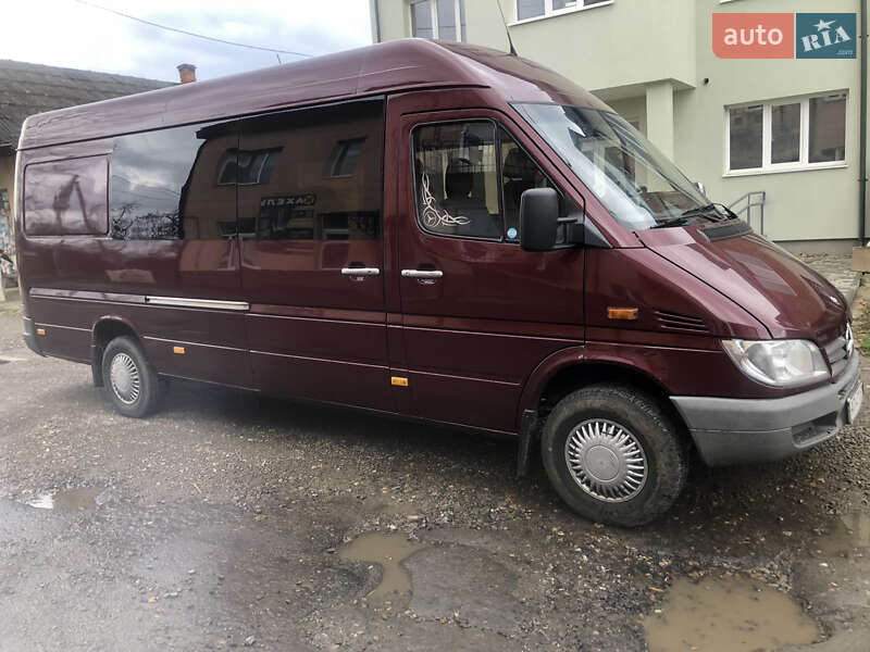 Минивэн Mercedes-Benz Sprinter 2005 в Богородчанах