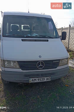 Микроавтобус Mercedes-Benz Sprinter 1999 в Запорожье