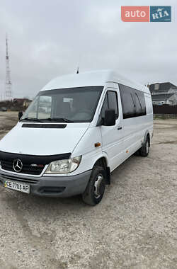 Грузовой фургон Mercedes-Benz Sprinter 2008 в Новоднестровске