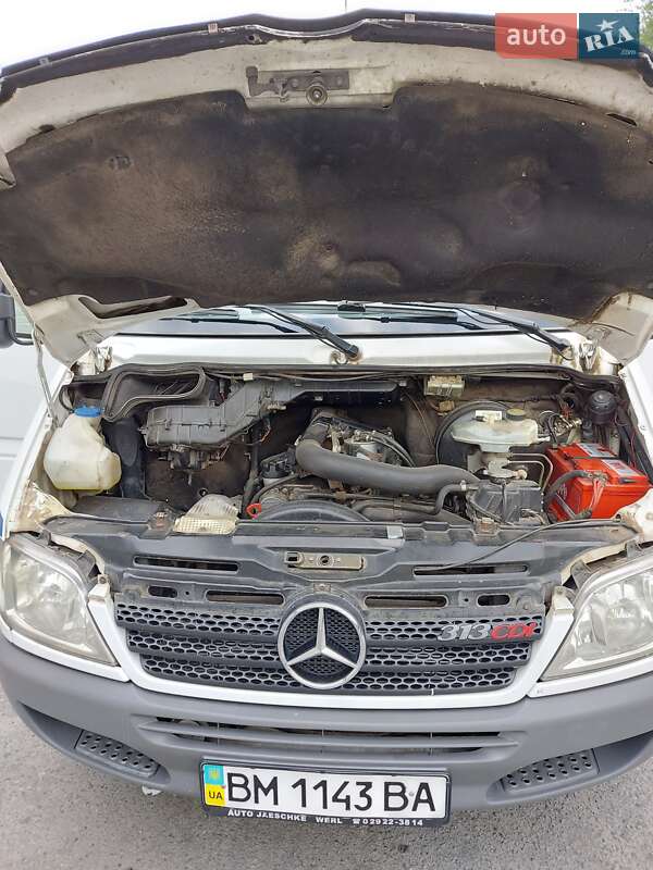 Минивэн Mercedes-Benz Sprinter 2005 в Днепре фото 13 Минивэн Mercedes-Benz Sprinter 2005 в Днепре