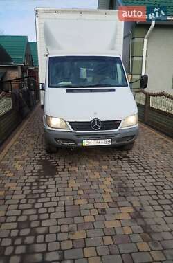 Другие грузовики Mercedes-Benz Sprinter 2004 в Демидовке