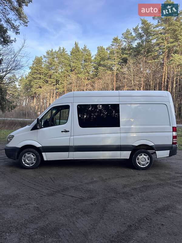 Минивэн Mercedes-Benz Sprinter 2008 в Кременце