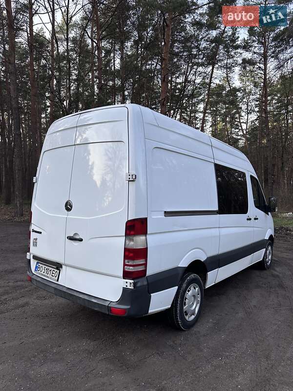 Минивэн Mercedes-Benz Sprinter 2008 в Кременце