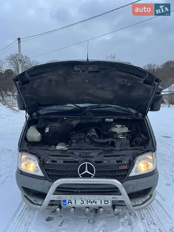 Минивэн Mercedes-Benz Sprinter 2005 в Коломые