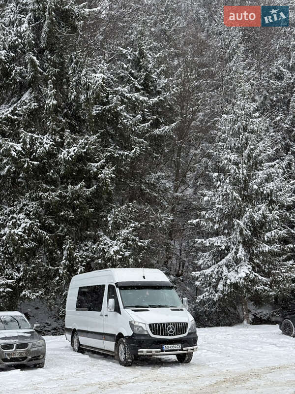 Мінівен Mercedes-Benz Sprinter 2014 в Нижній Апші фото 11 Мінівен Mercedes-Benz Sprinter 2014 в Нижній Апші