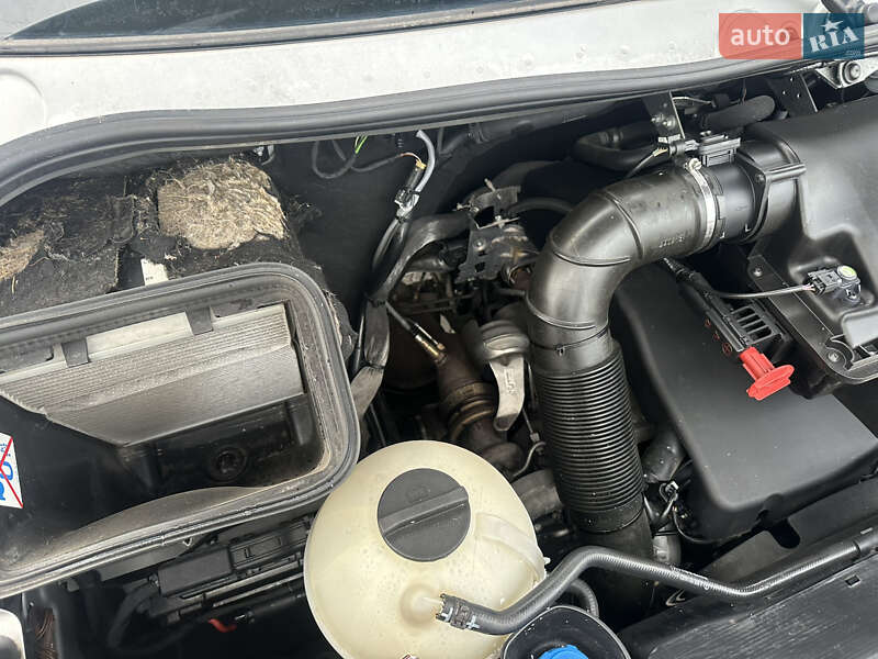 Мікроавтобус Mercedes-Benz Sprinter 2013 в Чернівцях