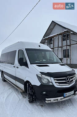 Мікроавтобус Mercedes-Benz Sprinter 2014 в Березному