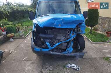 Мікроавтобус Mercedes-Benz Sprinter 2009 в Великому Березному