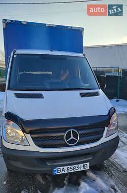 Другие грузовики Mercedes-Benz Sprinter 2010 в Кропивницком