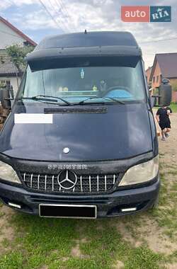 Другие грузовики Mercedes-Benz Sprinter 2001 в Хусте