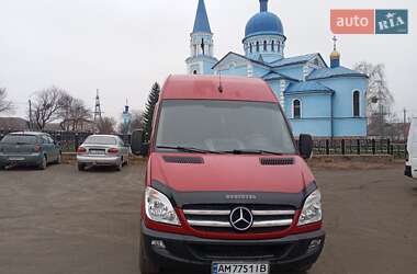 Микровэн Mercedes-Benz Sprinter 2009 в Малине