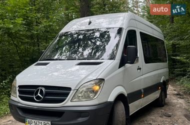 Микроавтобус Mercedes-Benz Sprinter 2009 в Житомире