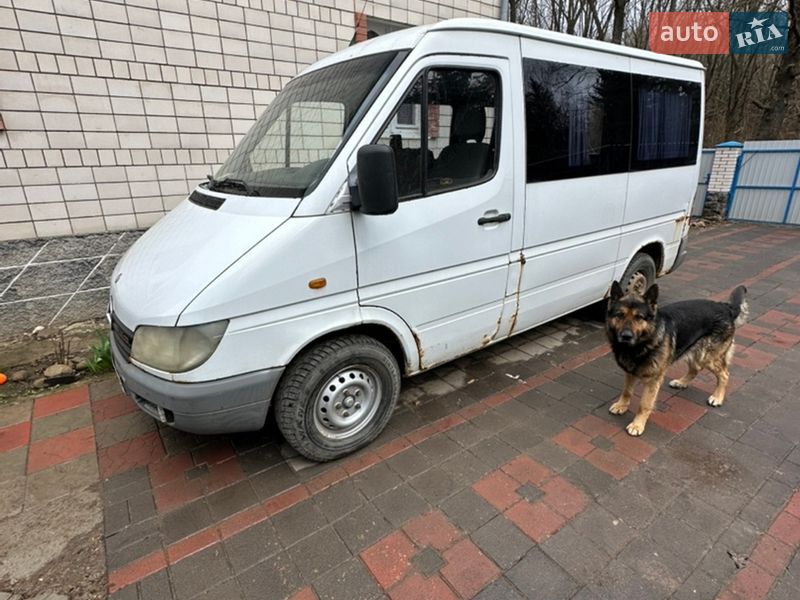 Минивэн Mercedes-Benz Sprinter 2000 в Виннице