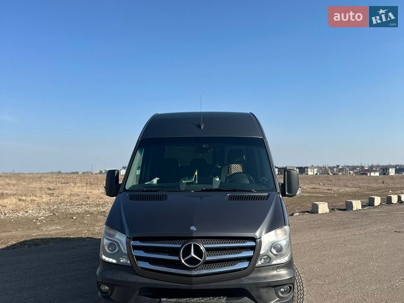 Микроавтобус Mercedes-Benz Sprinter 2014 в Софиевской Борщаговке фото 3 Микроавтобус Mercedes-Benz Sprinter 2014 в Софиевской Борщаговке