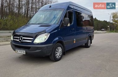 Мінівен Mercedes-Benz Sprinter 2007 в Славуті