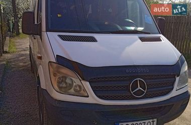Микроавтобус Mercedes-Benz Sprinter 2013 в Кривом Роге