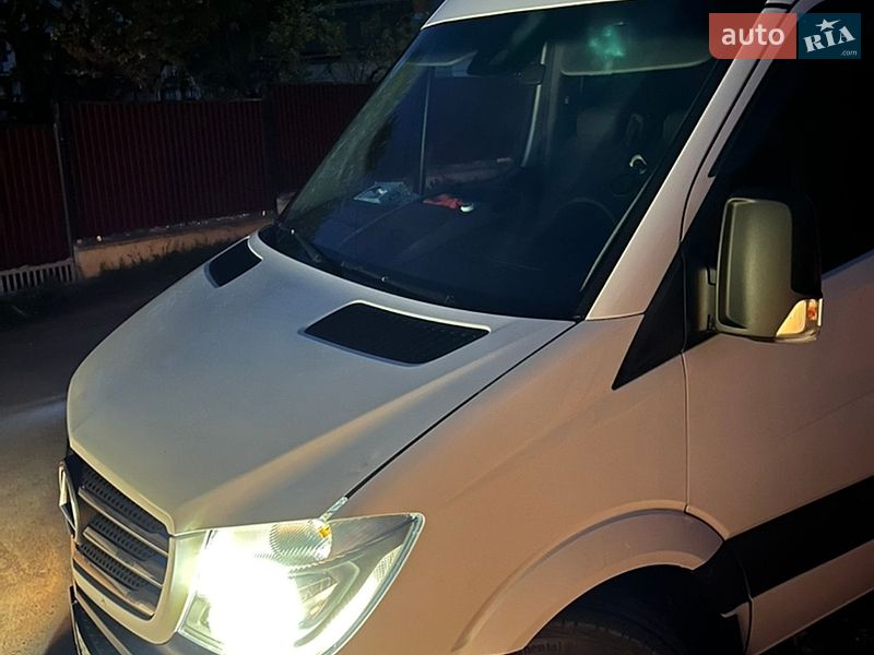 Микроавтобус Mercedes-Benz Sprinter 2014 в Сваляве