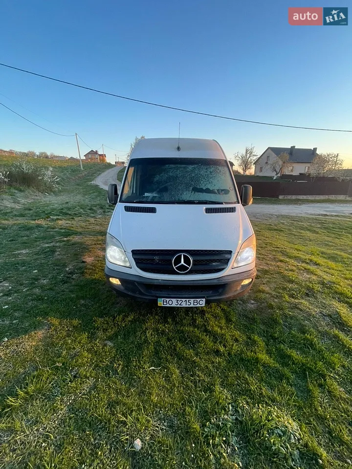 2010 Mercedes-Benz Sprinter - мініатюра 8