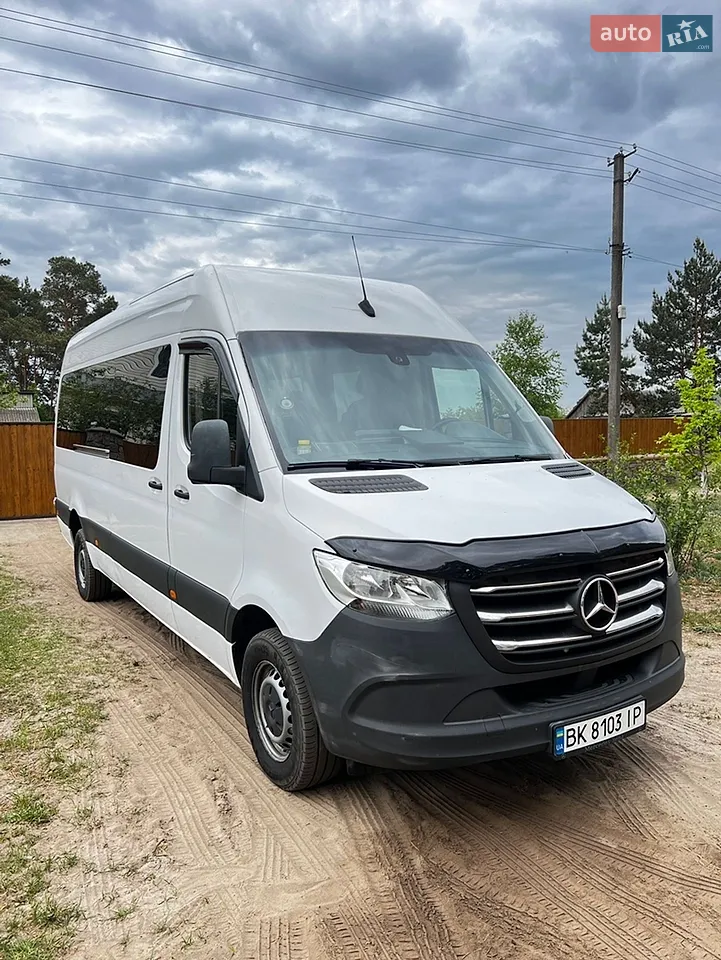 2019 Mercedes-Benz Sprinter - мініатюра 10