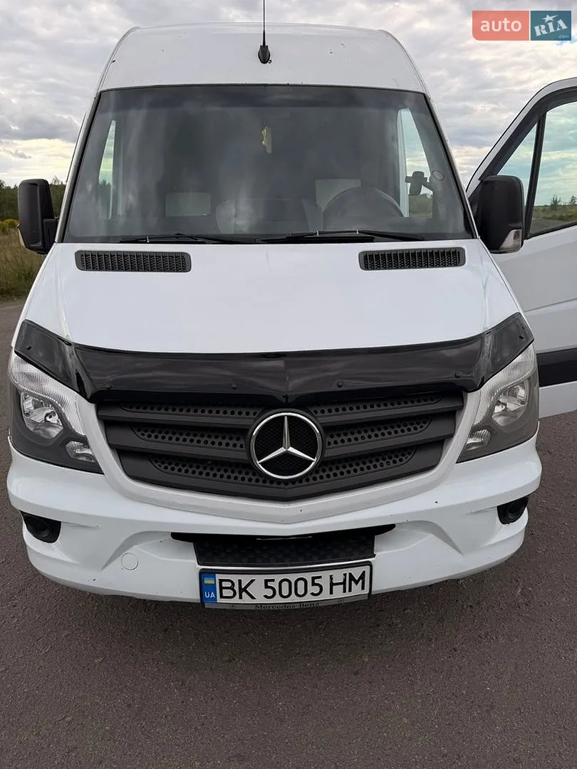 2010 Mercedes-Benz Sprinter - фото 1
