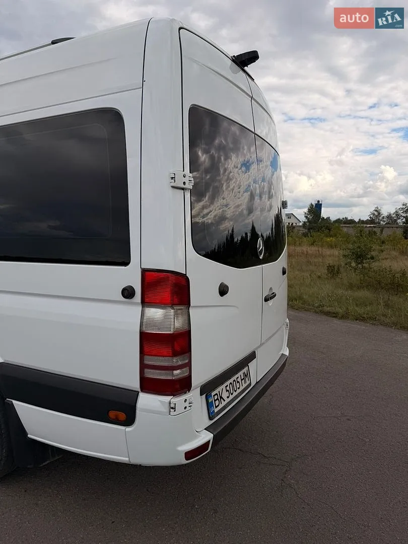 2010 Mercedes-Benz Sprinter - мініатюра 11