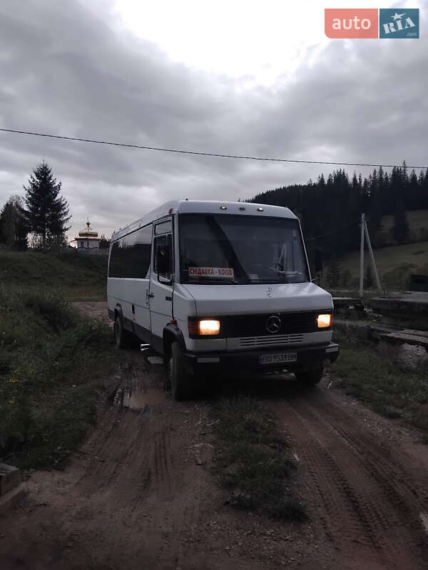 Другие автобусы Mercedes-Benz T2 1995 в Ивано-Франковске