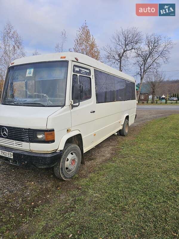 Пригородный автобус Mercedes-Benz Vario 1995 в Герце